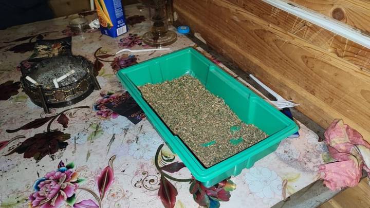 Полиция изъяла 11 кустов конопли и крупную партию наркотиков из дома жителя Подмосковья