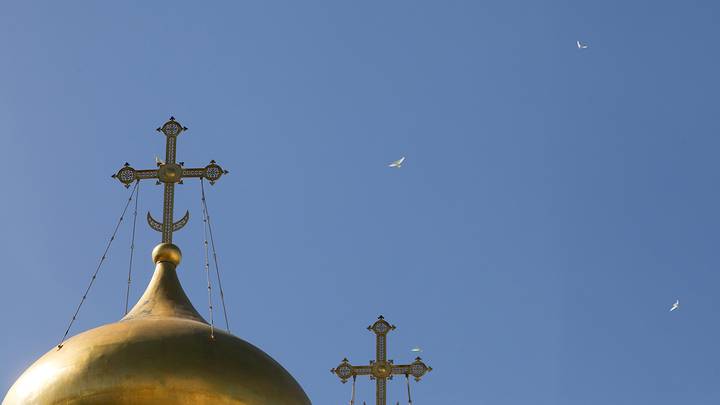 Путешествие с книгой