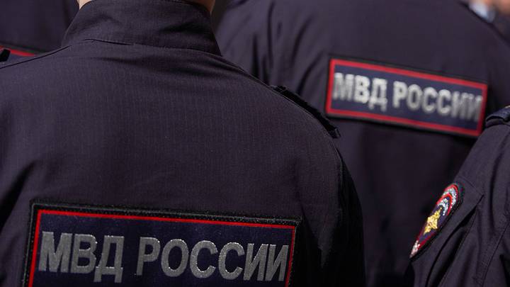 Серийный зоофил избил и изнасиловал котенка в Люберцах