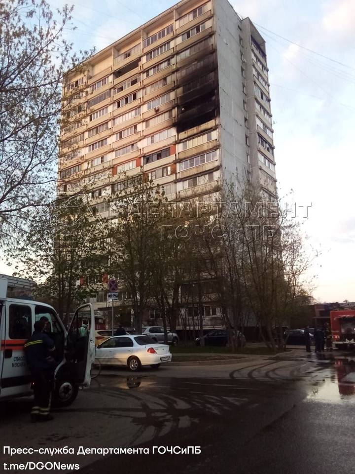 Спасатели вытащили собаку из горящего дома в Новой Москве
