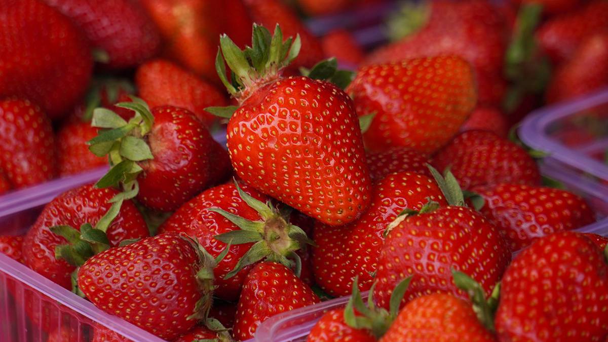 Диетолог Ричардс назвала три вида ягод для уменьшения жира на животе