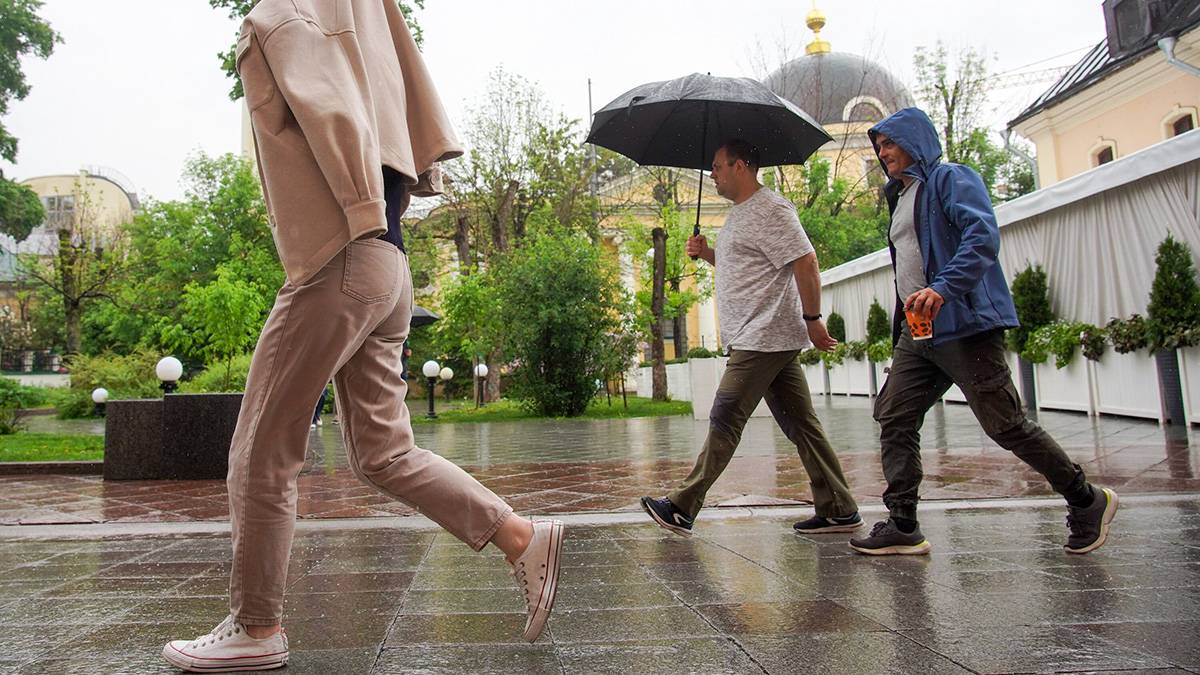 Синоптики предупредили москвичей об облачной погоде и дожде 7 июня