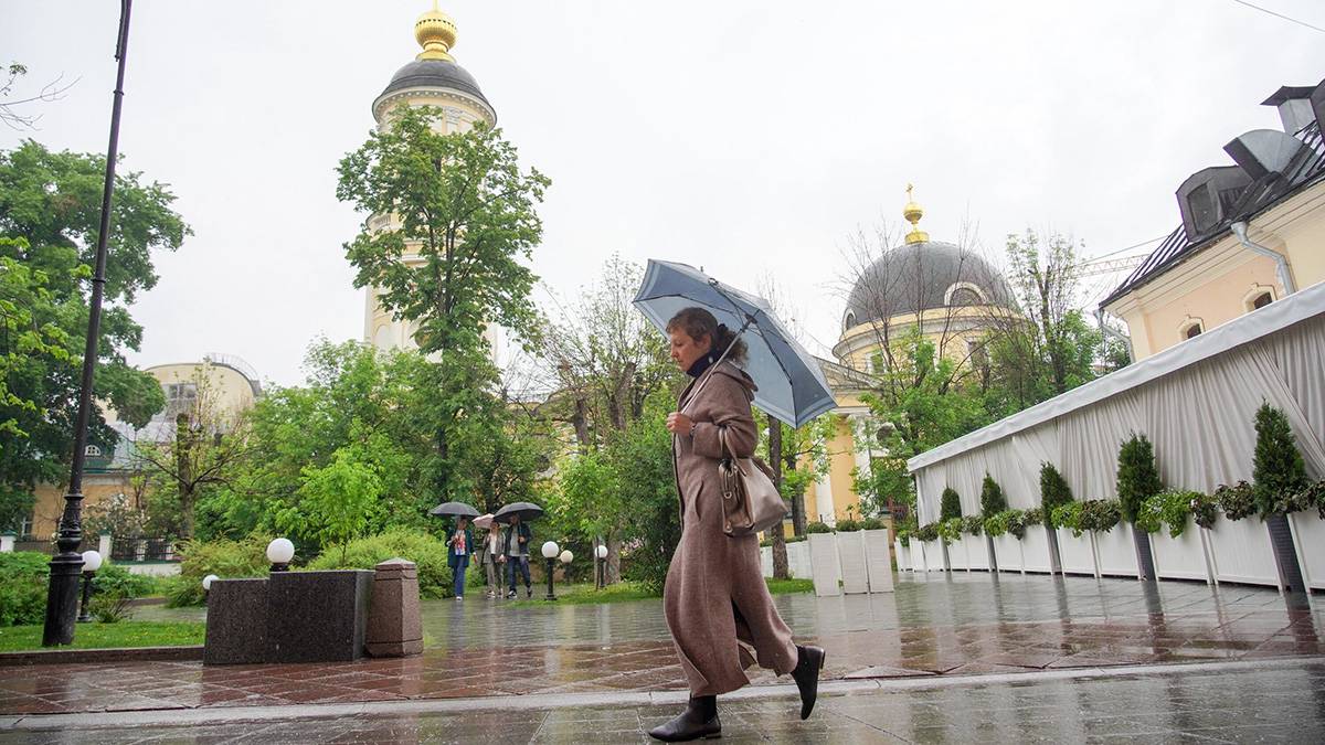 Синоптики пообещали жителям Москвы небольшой дождь и похолодание 27 мая