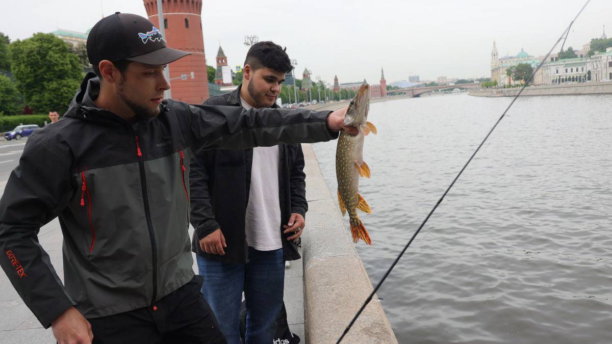 Какую рыбу можно поймать в водоемах Москвы