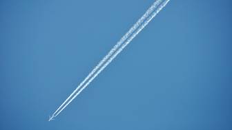 Лоукостер Jet2 пожизненно запретил полеты двум пассажирам за драку на рейсе