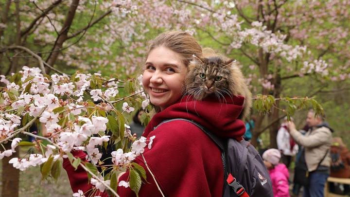Бирюлевский дендропарк / Фото: Анатолий Цымбалюк / Вечерняя Москва