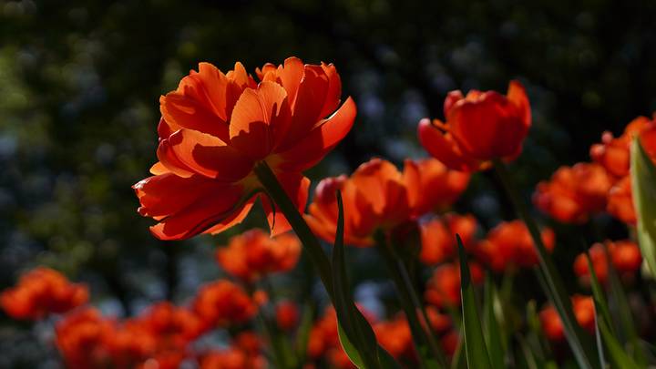 Фото: Анатолий Цымбалюк / Вечерняя Москва