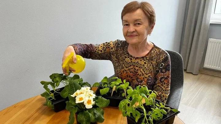 Более 300 жителей старшего возраста приняли участие в конкурсе по садоводству центров московского долголетия