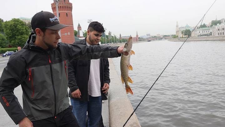 Рыбаки на Кремлевской набережной / Фото: Сергей Шахиджанян / Вечерняя Москва
