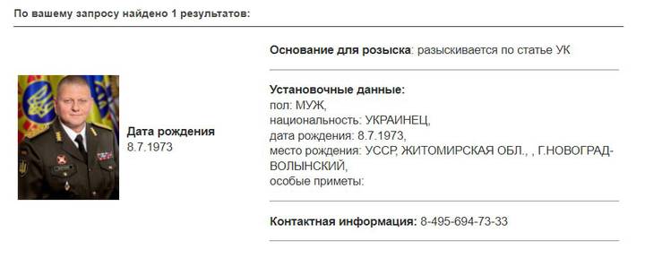 МВД объявило в розыск главкома ВСУ Залужного