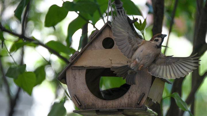 Фото: Пелагия Замятина / Вечерняя Москва