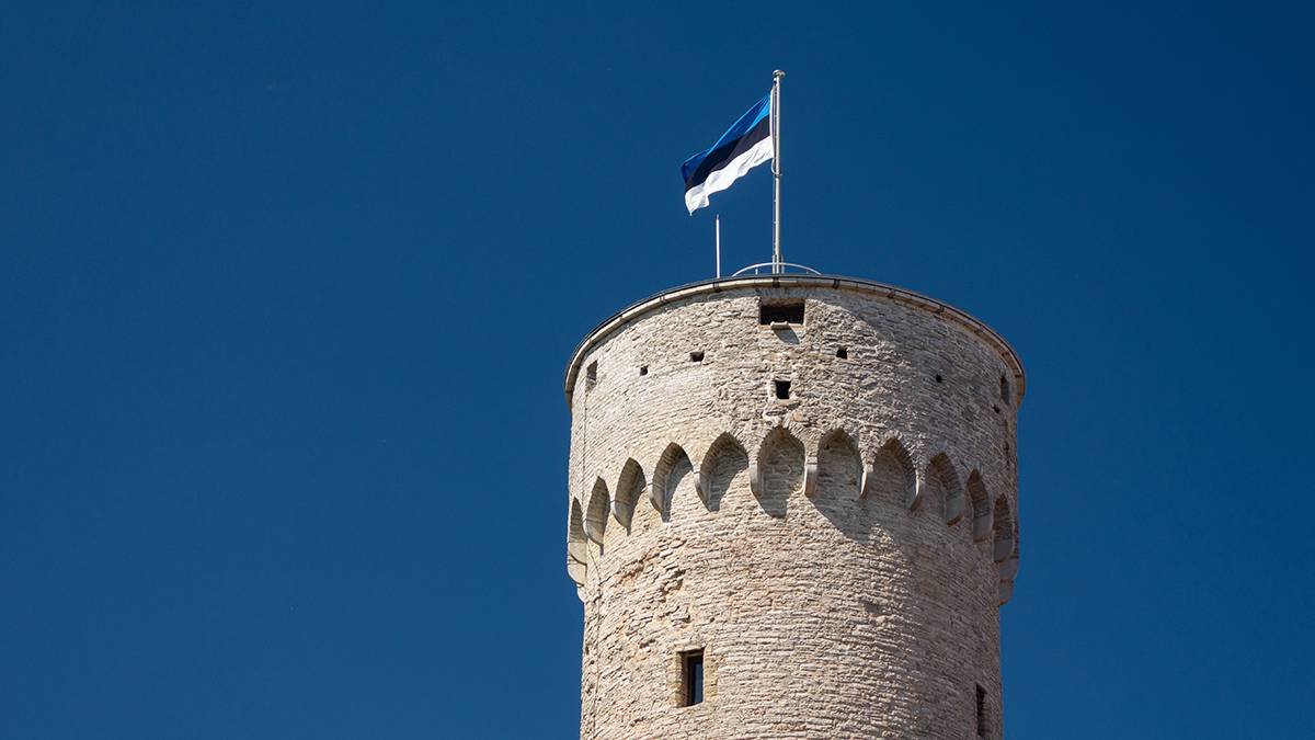 Политолог Носович заявил, что из Эстонии могут начать выгонять граждан России