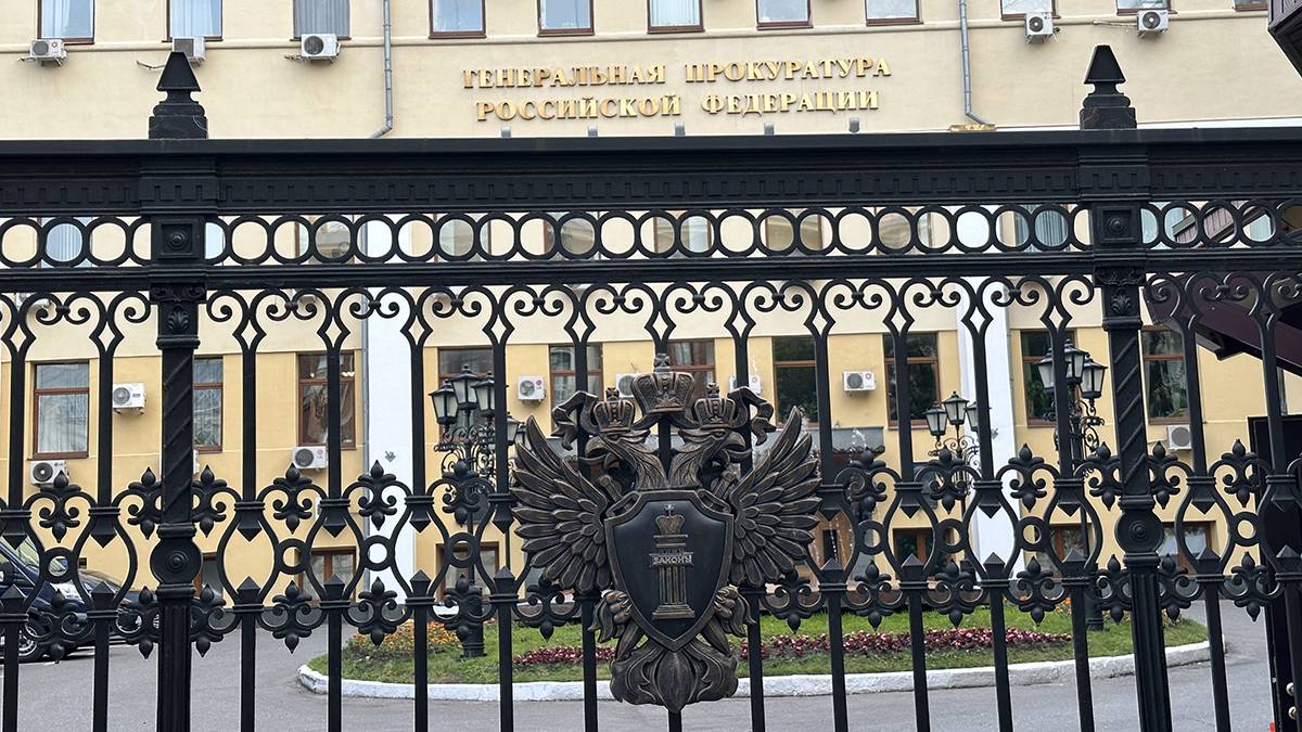 Прокуратура проводит проверку в связи с нападением алабая на ребенка в Дмитрове