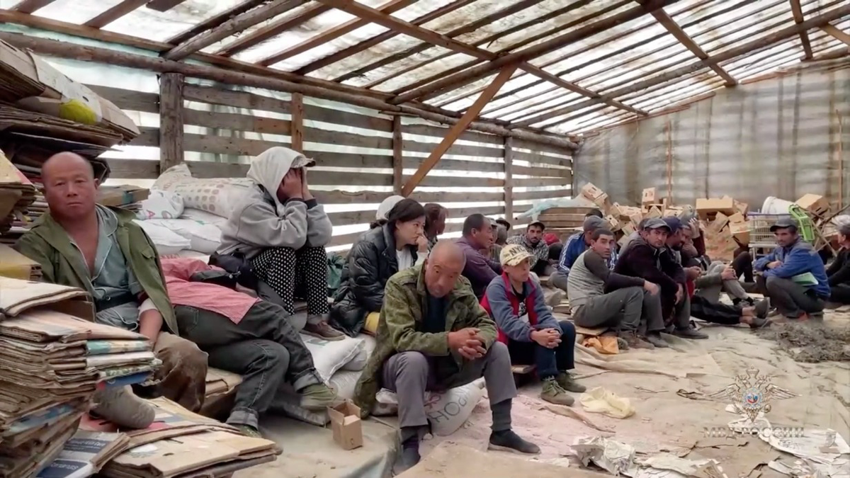Почти 60 нелегальных мигрантов задержали полицейские на подмосковной ферме
