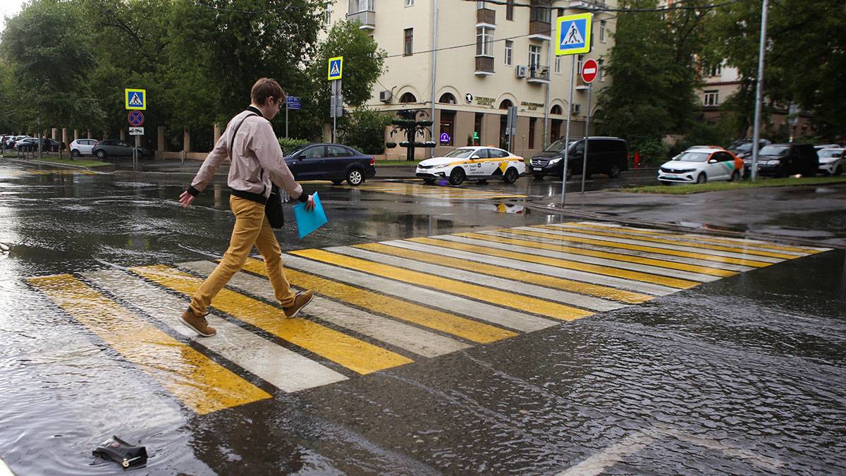 Москвичей предупредили о грозе с дождем до утра 3 июля