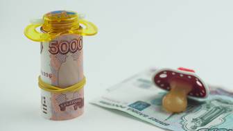 Маткапитал разрешили тратить на ипотеку от региональных микрокредитных компаний