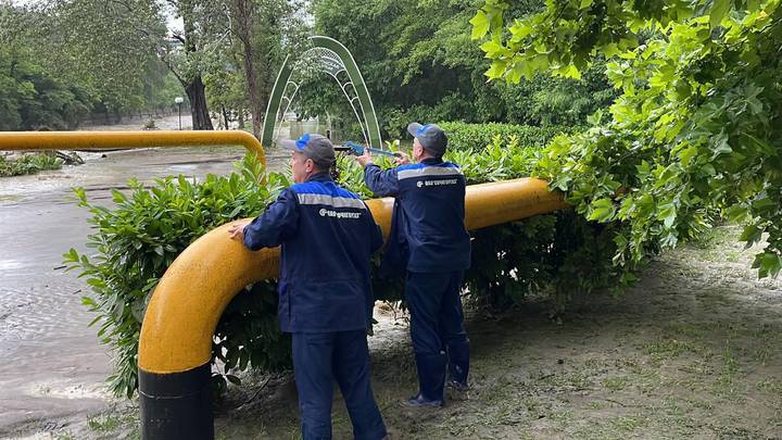 Фото: Telegram / Сочи официальный Фото: Telegram / Сочи официальный