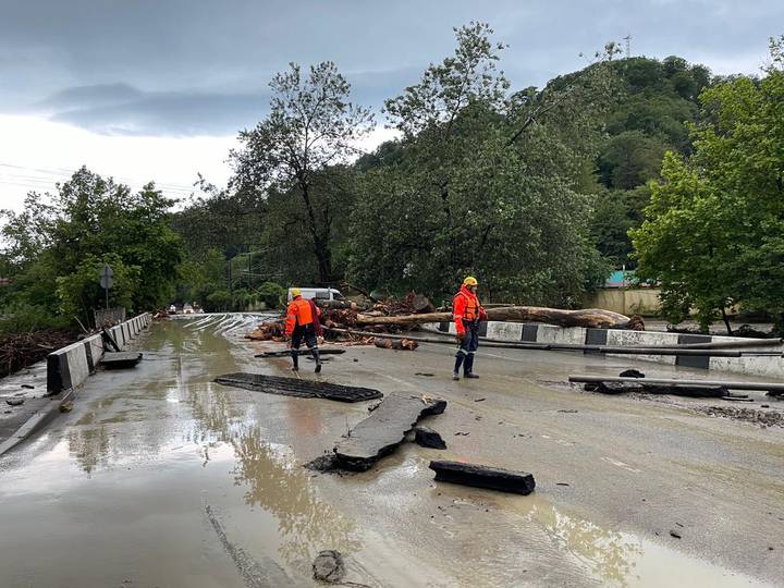 Фото: Telegram / Сочи официальный Фото: Telegram / Сочи официальный