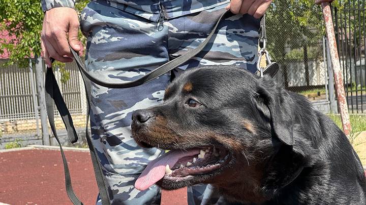 Фото: Вечерняя Москва Фото: Вечерняя Москва