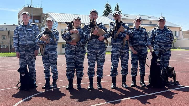 Фото: Вечерняя Москва Фото: Вечерняя Москва