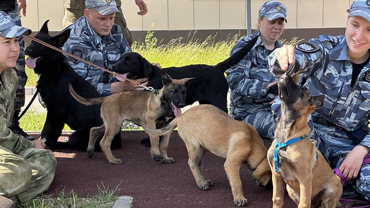 Фото: Вечерняя Москва Фото: Вечерняя Москва
