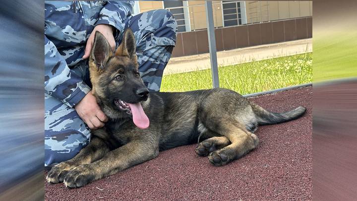 Фото: Вечерняя Москва Фото: Вечерняя Москва