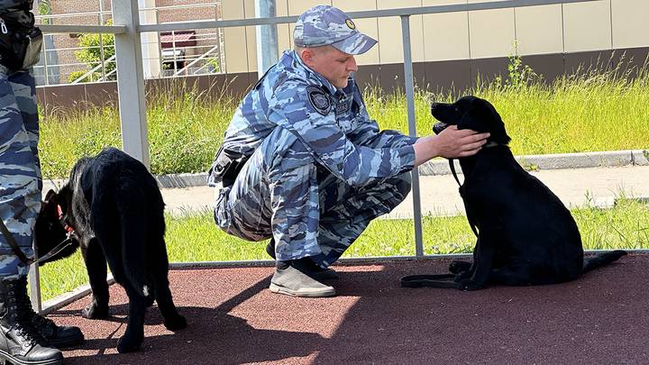 Фото: Вечерняя Москва Фото: Вечерняя Москва