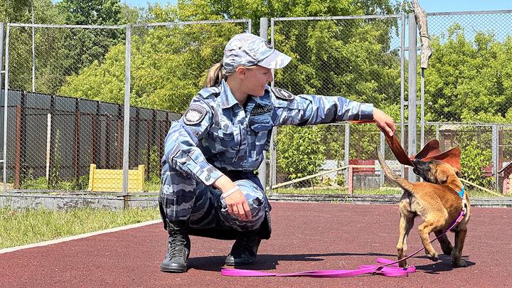 Фото: Вечерняя Москва Фото: Вечерняя Москва