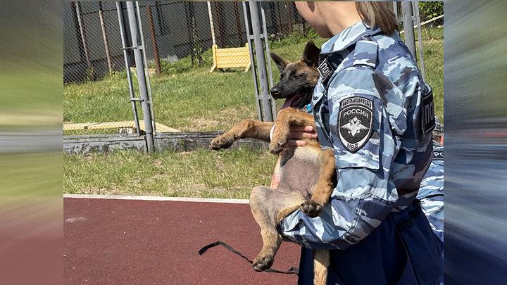 Фото: Вечерняя Москва Фото: Вечерняя Москва