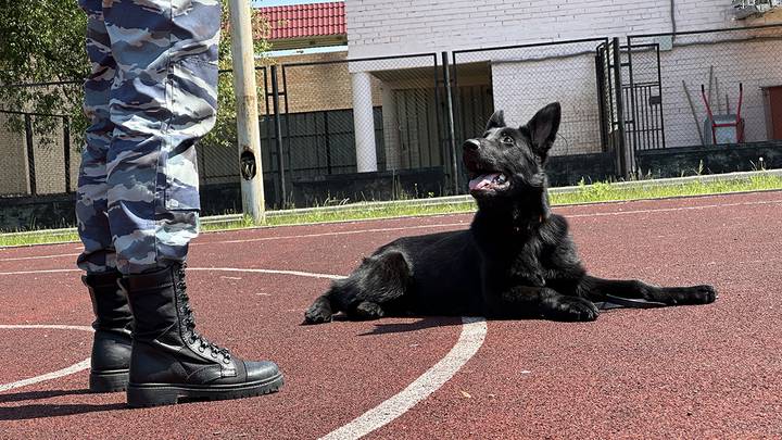 Фото: Вечерняя Москва Фото: Вечерняя Москва