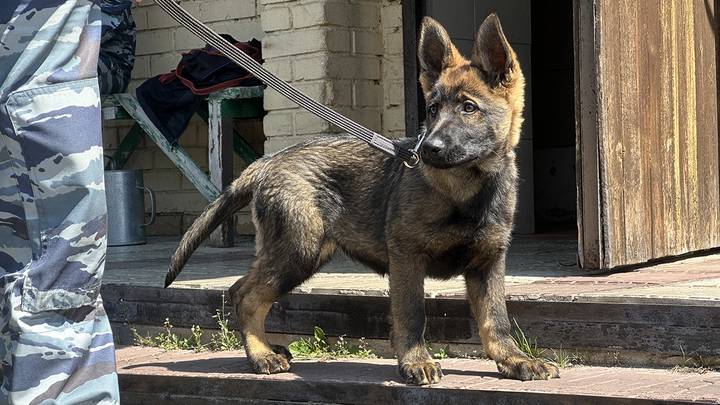 Фото: Вечерняя Москва Фото: Вечерняя Москва