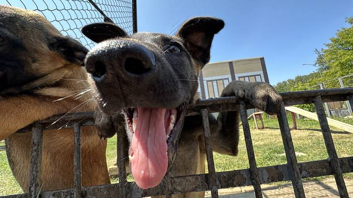 Фото: Вечерняя Москва Фото: Вечерняя Москва