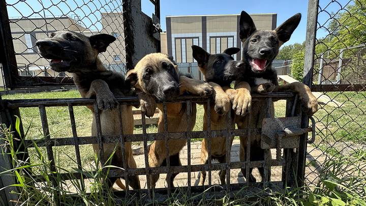 Фото: Вечерняя Москва Фото: Вечерняя Москва