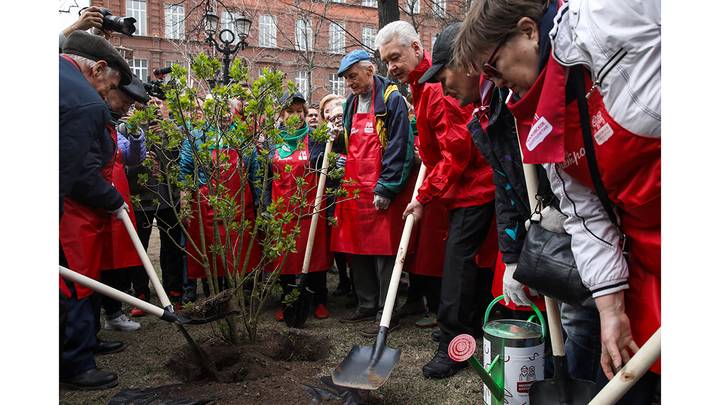 С актером Михаилом Ножкиным во время посадки кустов сирени на Никитском бульваре, 2019 год / Фото: Михаил Почуев / ТАСС