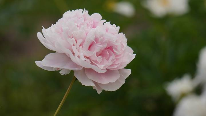  Все приходит в свой черед