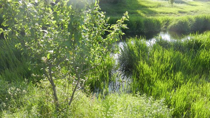 За 20 дней уже восемь погибших: как уберечь детей от трагической смерти в воде на летних каникулах