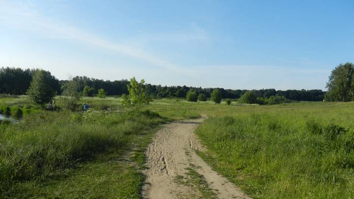 За 20 дней уже восемь погибших: как уберечь детей от трагической смерти в воде на летних каникулах