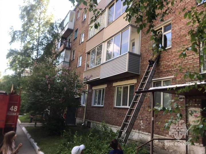 Пожарные спасли застрявшего в окне кота в Красноярском крае