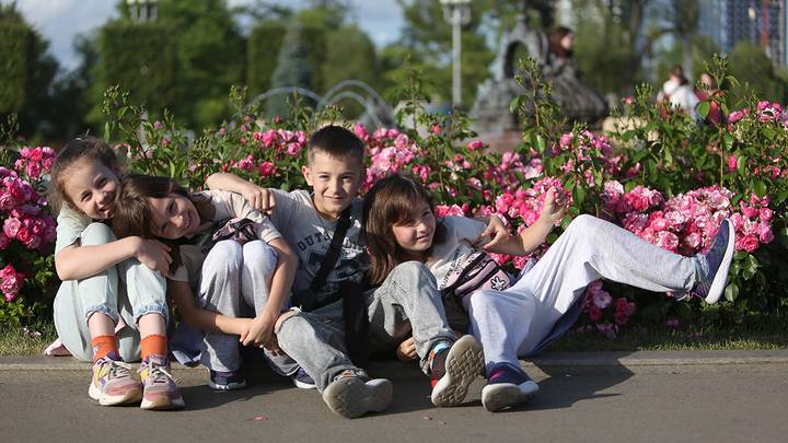 Радость, к которой мы привыкли