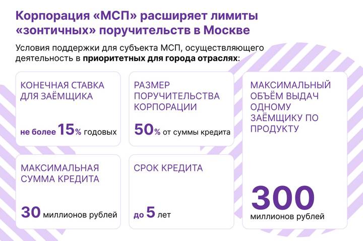 Собянин расширил объем гарантийной поддержки для малого и среднего бизнеса