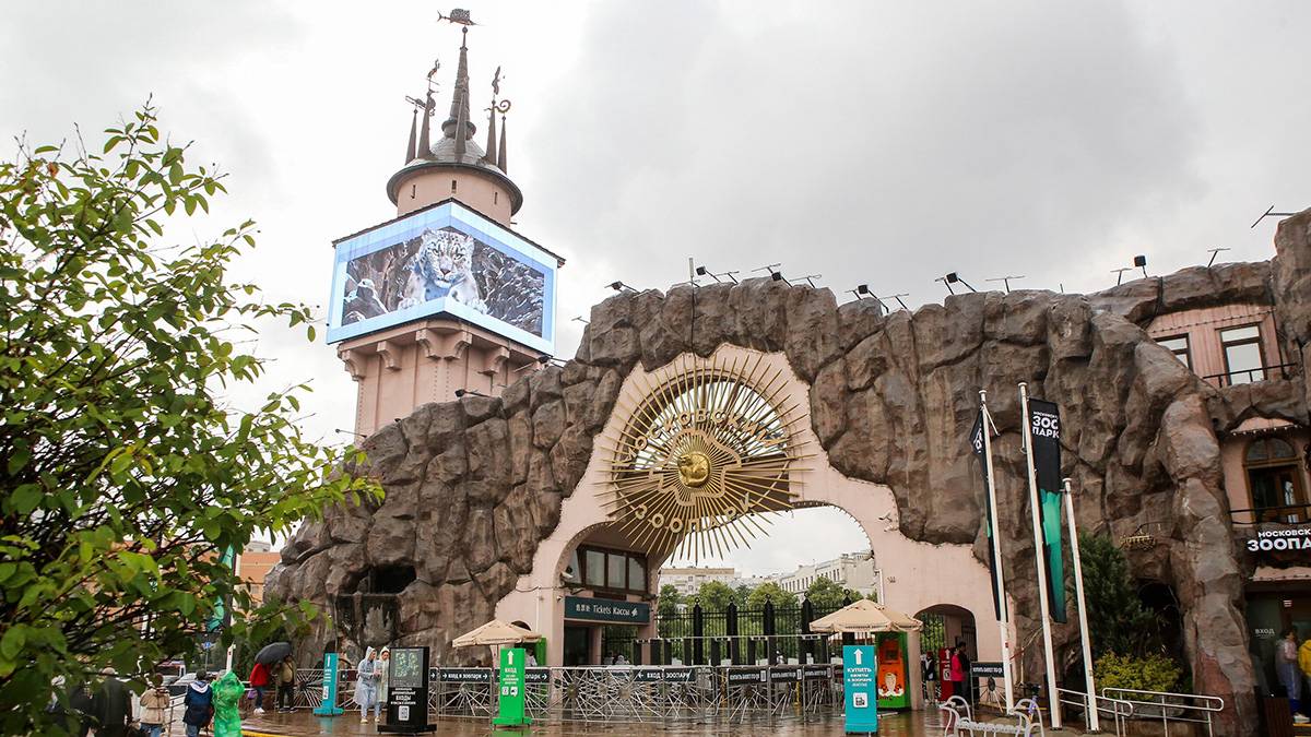Московский зоопарк закрылся из-за непогоды 20 июня