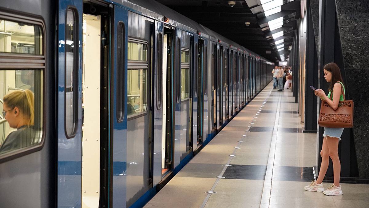 Поезда на фиолетовой ветке метро в Москве ходят с увеличенными интервалами  из-за человека на путях