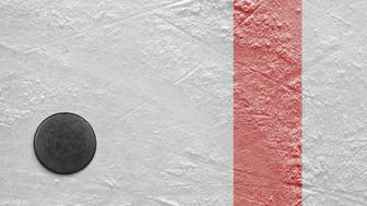 Хоккейный вратарь Бобровский устроил жесткую драку на матче НХЛ