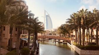 Shot: Клопы атаковали российских туристов на курортах ОАЭ