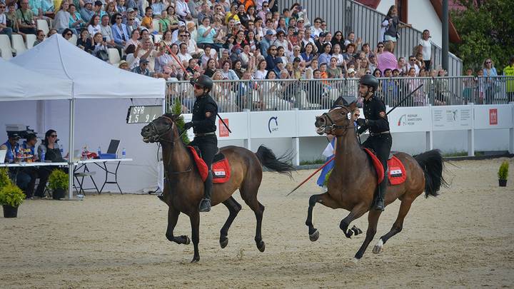 Международные соревнования по тентпеггингу на ВДНХ / Фото: Наталья Феоктистова / Вечерняя Москва