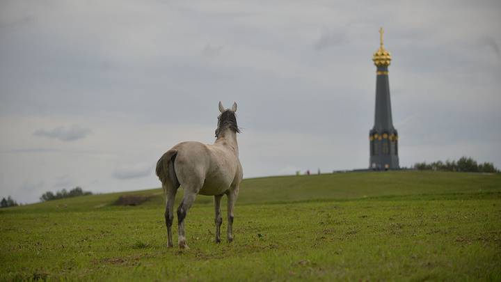 Театрализованное представление «Живые шахматы» в Бородино / Фото: Александр Кочубей / Вечерняя Москва