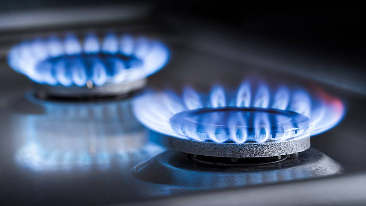 Госдума приняла закон о повышении штрафов за недопуск газовщиков в квартиры