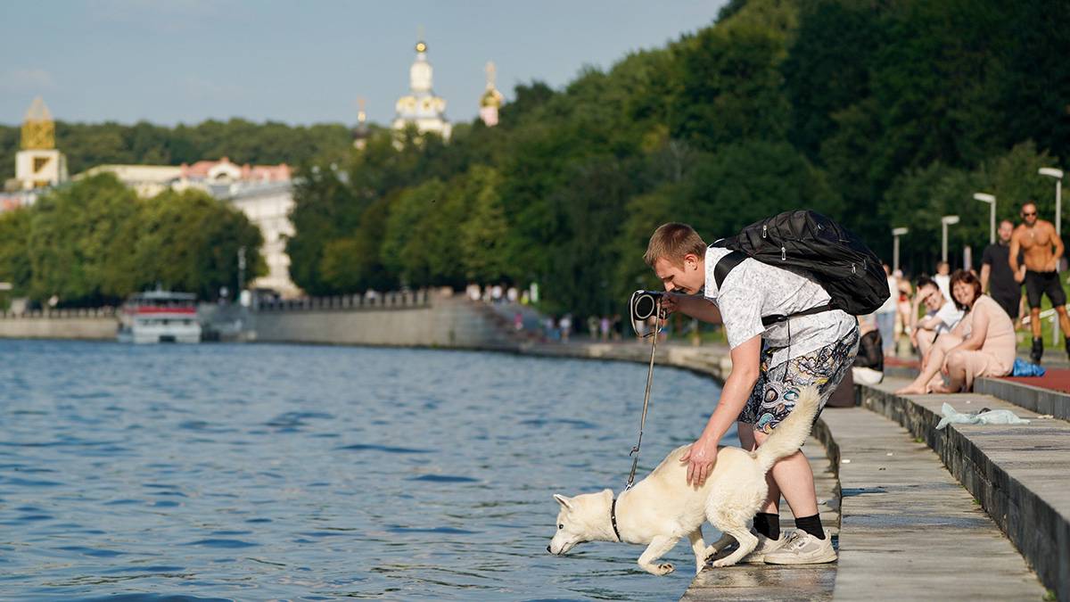 «Прохладный старт»: москвичей ждет «невзрачная» погода в первых числах августа