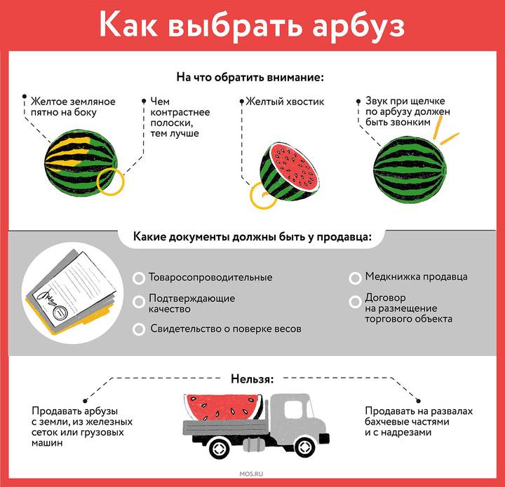 Более 200 бахчевых развалов открылось в столице