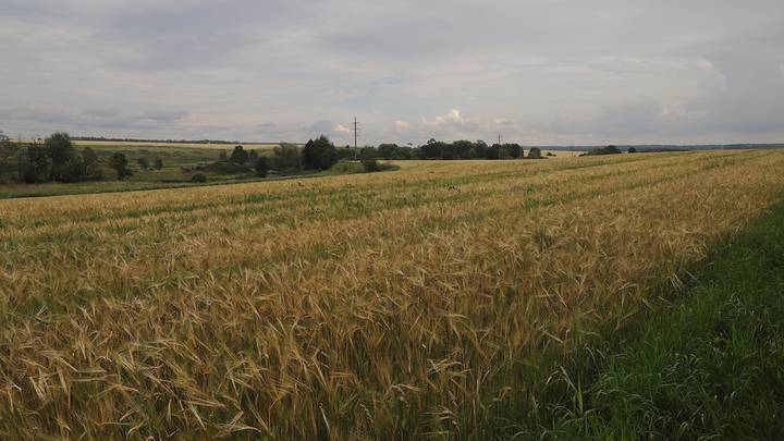 Путешествия к чудесам: интерес российских туристов к родному краю повысился